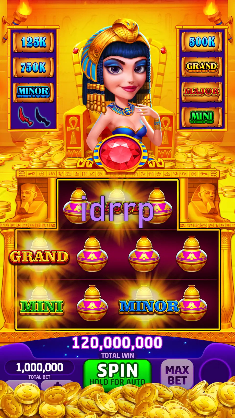 idrrp APK